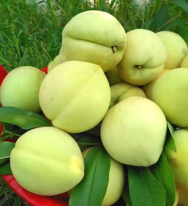 共3天(8.12~8.14)买就送!