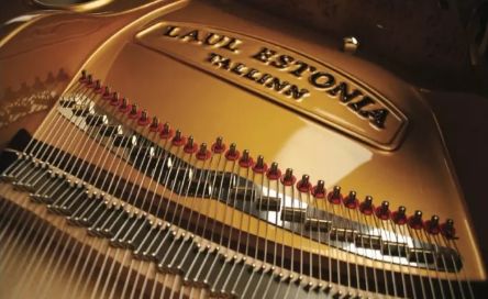 并且许多伟大的钢琴家,如里sviatoslav richter,dmitry shostakovitch