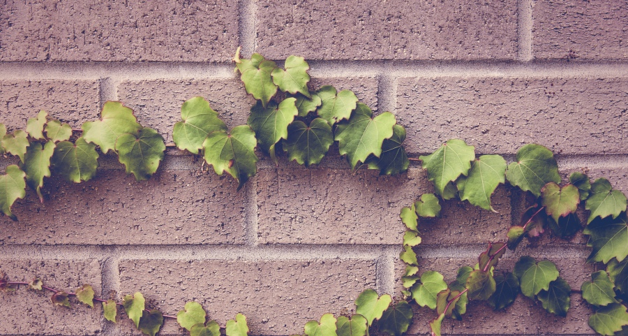 海信荣耀都在定义电视的未来,海尔布谷三星再出新招!-家电圈官网