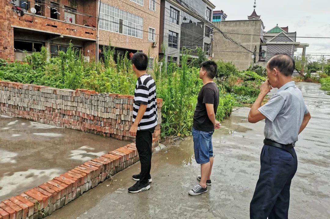 海宁许村 前进村图片