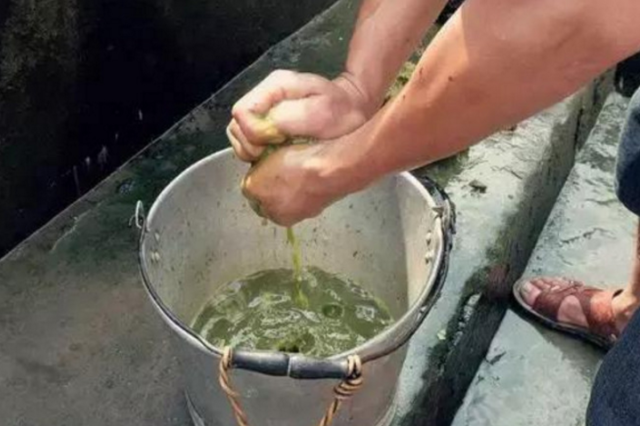 奇葩美食5大源于动物粪便的美食