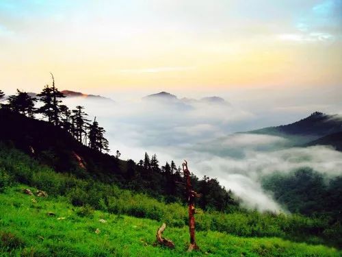 佛坪縣大坪峪熊貓家園景區是以山,水,林自然景物為特色的生態旅遊休閒