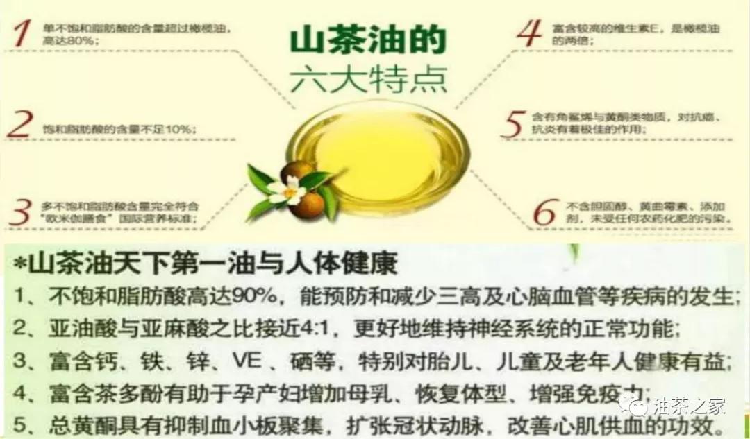 山茶油药理作用第六期我怕妈妈忘记我之山茶油延缓老年痴呆症