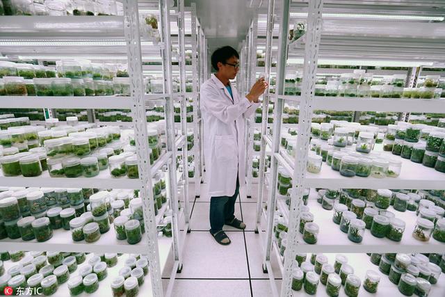 属于我国的末日种子库,为地球物种保留基因_种质