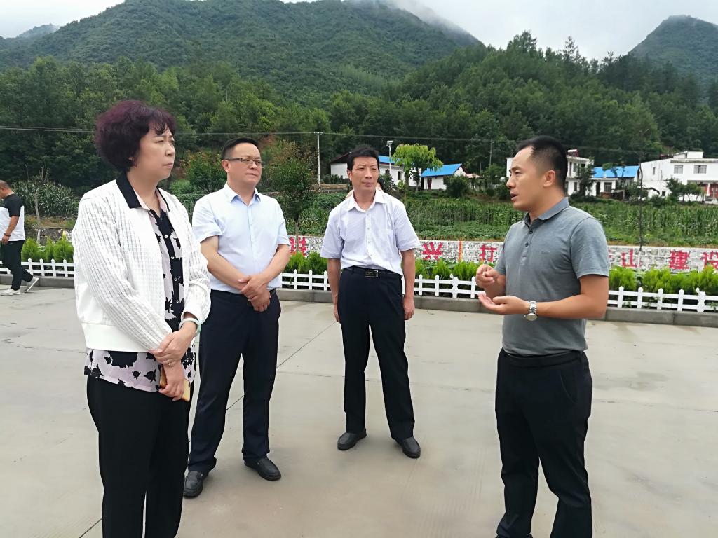 长安大学科技处处长韩玲一行深入商南调研科技扶贫工作_青山镇