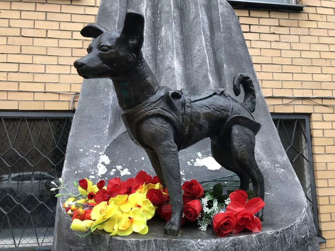 莱卡:第一位狗狗航天员_sputnik