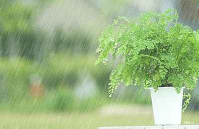 春雨昨夜好雨,晓馀湿烟.云浮远岫,风和长川.鸟鸣啾啾,水流溅溅.