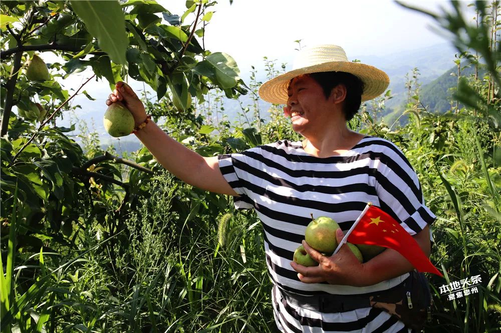 【网友e家亲】他来了,他来了!他捧着脆爽味甜的精华梨向你走来了
