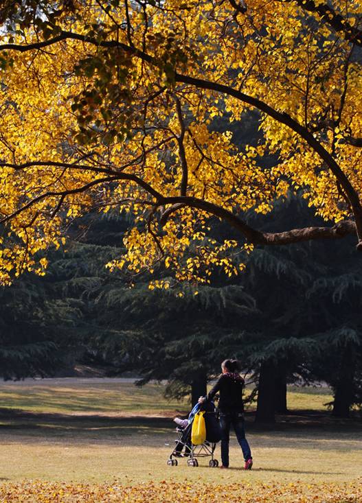 醉美新乡秋天最上镜的18处风景分分钟拍出时尚大片