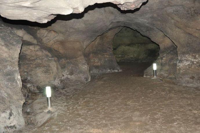 仙人洞遗址出土最古老的稻谷化石,距今12000年,韩国专家闭嘴了
