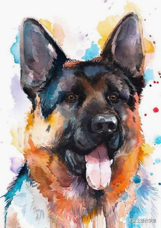 德牧画风活着的艺术品进入到绘画艺术