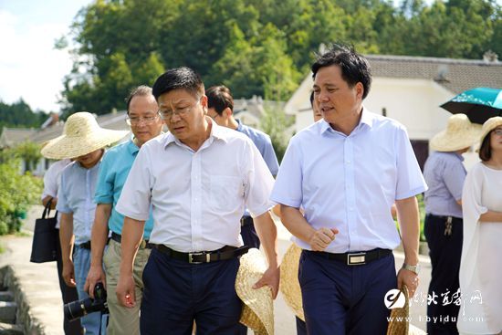 "乡村振兴战略宜昌实施研究"课题组来我市调研_陶良虎