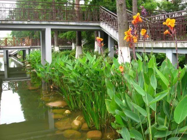 生态河道堤岸景观设计