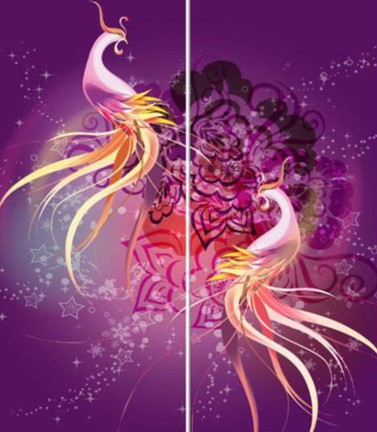 6.鸑鷟在中国的神话中,鸿鹄则指白色的凤凰.