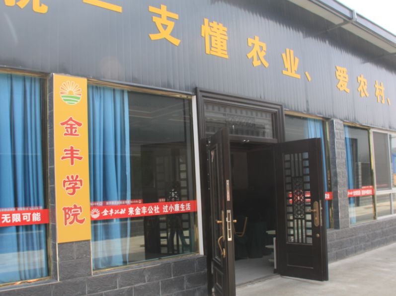 解密金丰公社如何破冰阎良首例全程托管