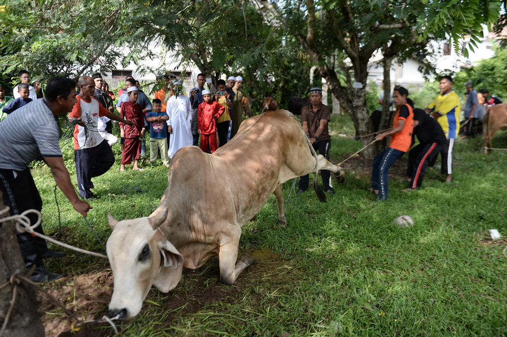 世界各地穆斯林庆祝宰牲节