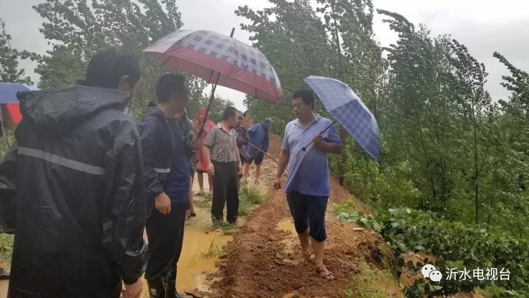 迎戰利奇馬沂水在行動