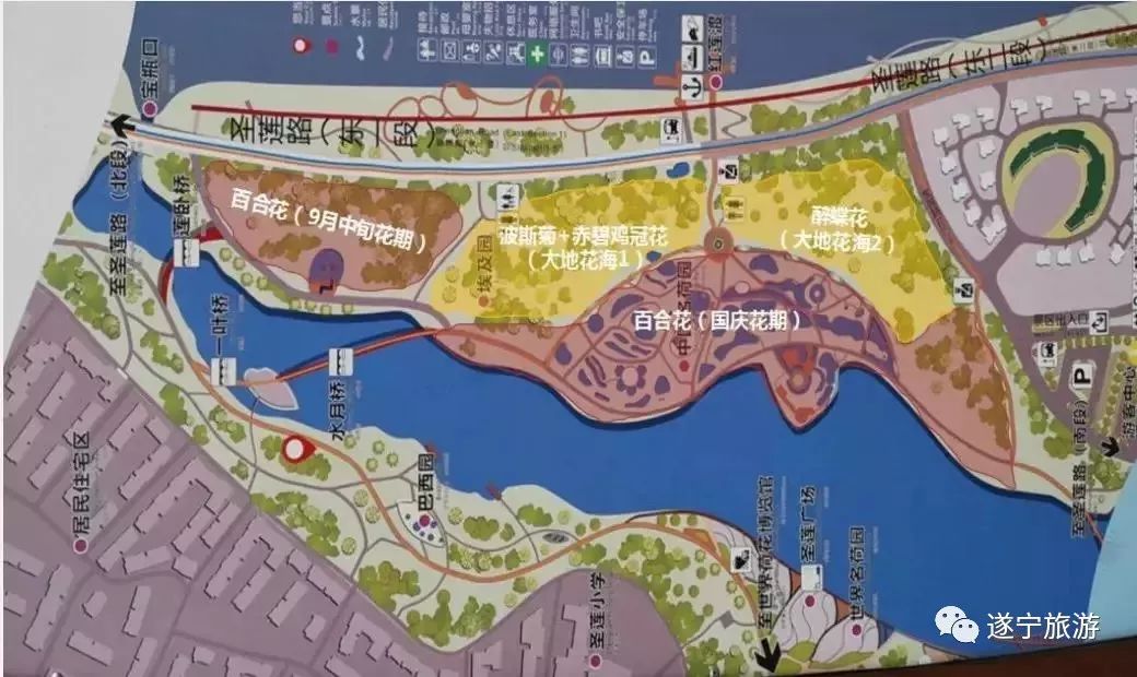 四季花海建设火热推进一年四季圣莲岛都将有花看