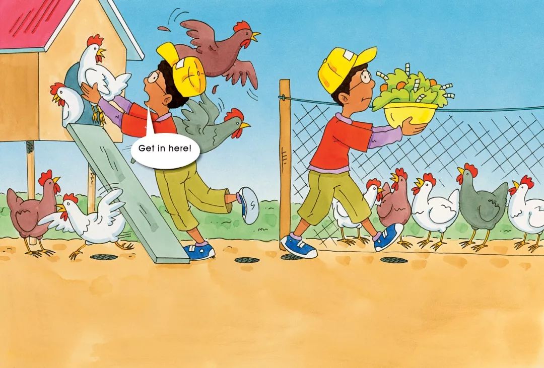 "get in here!"he had to get the hens some food.