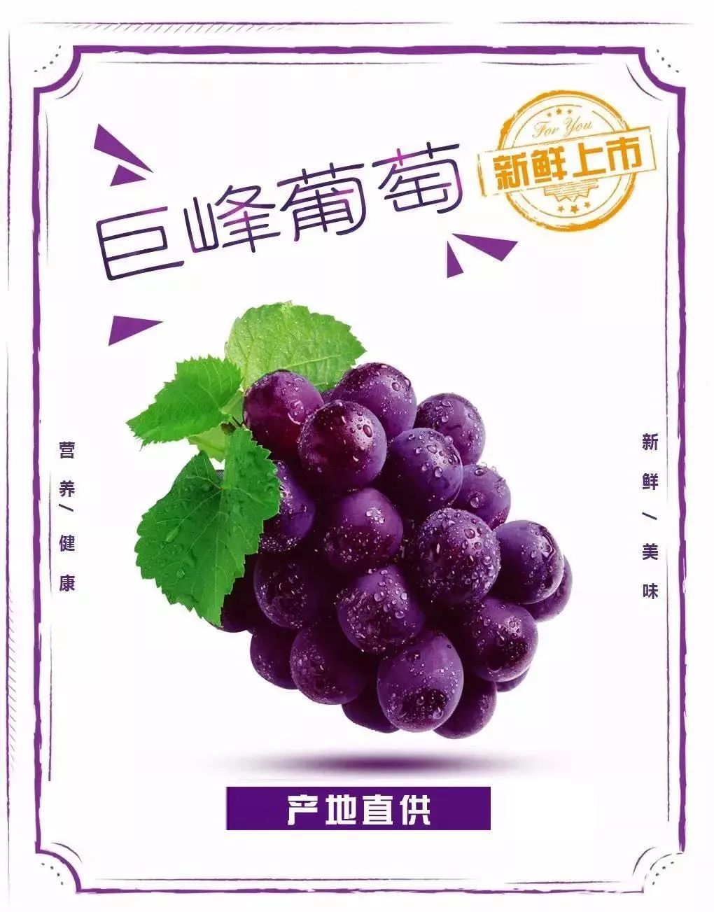 新鲜巨峰葡萄c位出道每一颗都不负众望咬一口甜到心里