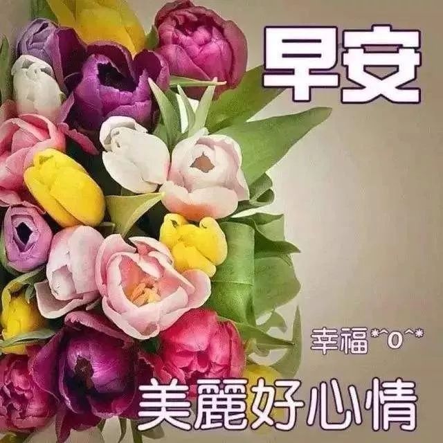 八月十二日最漂亮早上好圖片動態表情週一早上好圖片問候祝福語