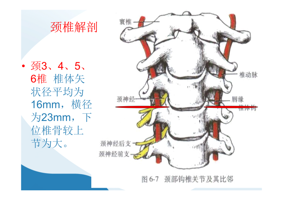 神级别的颈椎影像图谱