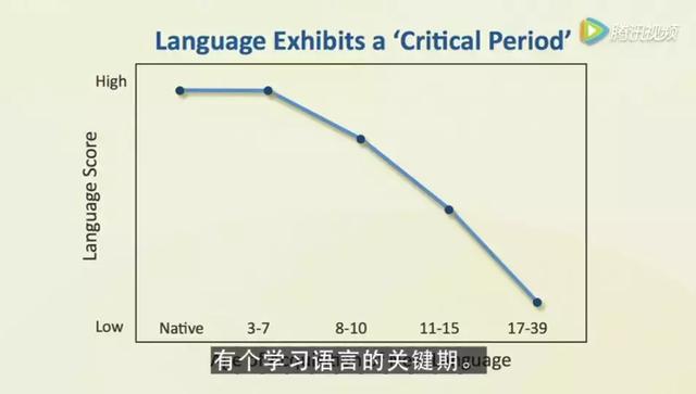 幼儿语言学习天赋和黄金期,它真的存在吗 精英教育