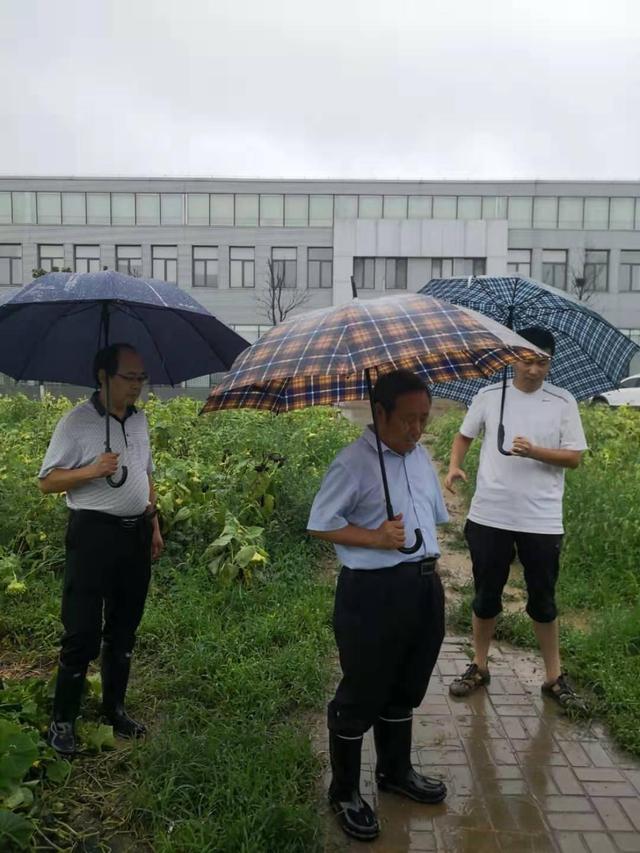 区领导王刚带领李金生等局领导冒雨到渠河检查巡查雨情水情.
