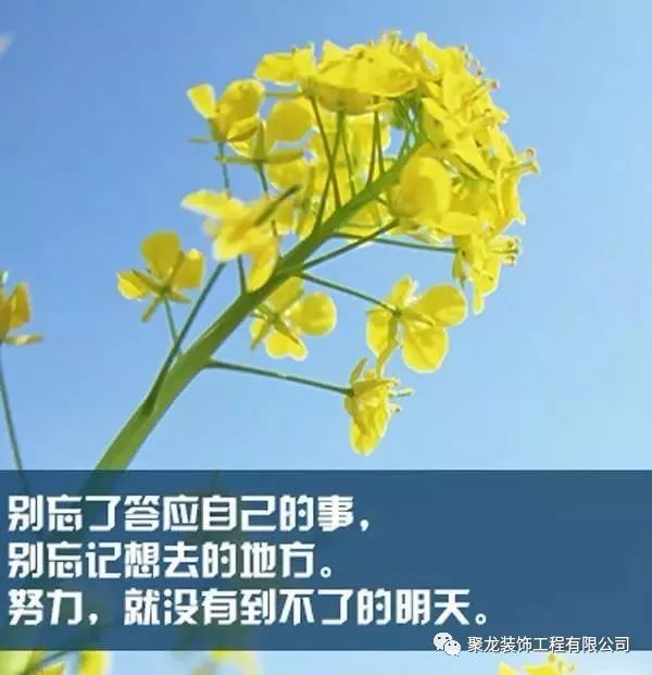 【心灵鸡汤】励志语录人生感悟