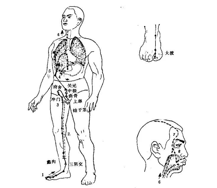 肝经的循行线路01肝经是人身体内的重要经络,可以通过调节肝经来保持