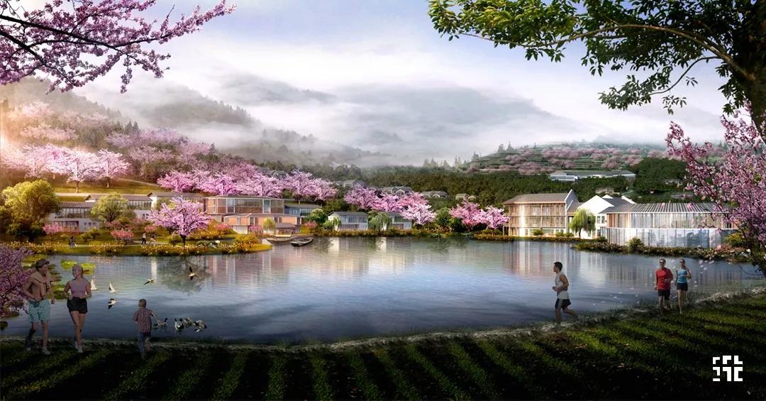 筑土项目丨天人合医,生态绿谷丨中国南阳中医药森林康养示范区