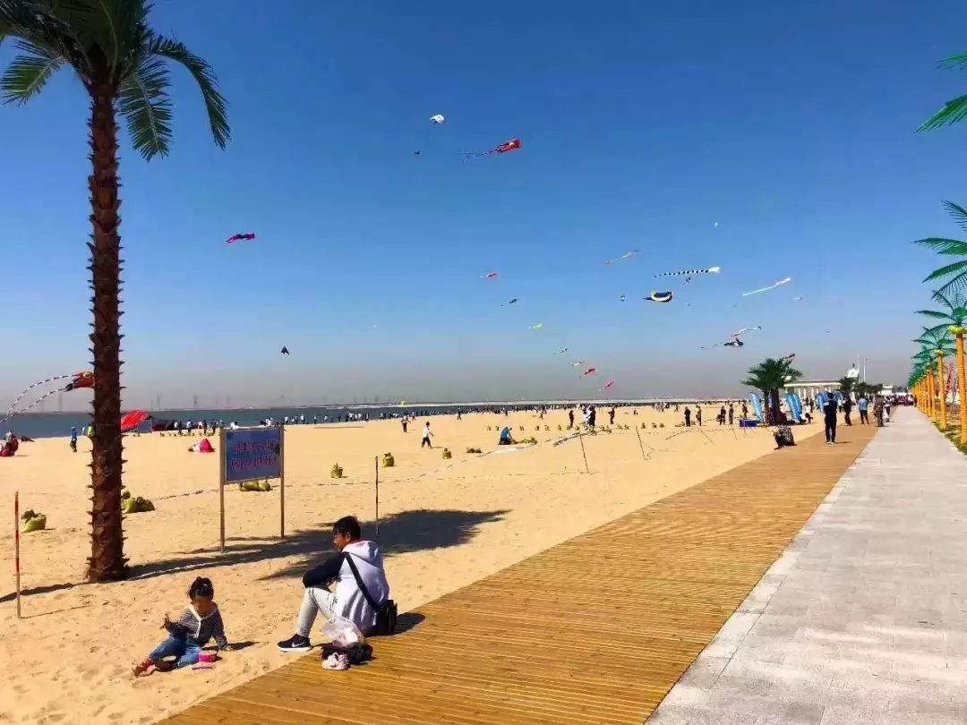 全域旅游 | 沧州渤海新区:十里金沙滩 特色海滨游