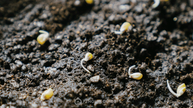 640_360gif 动态图 动图