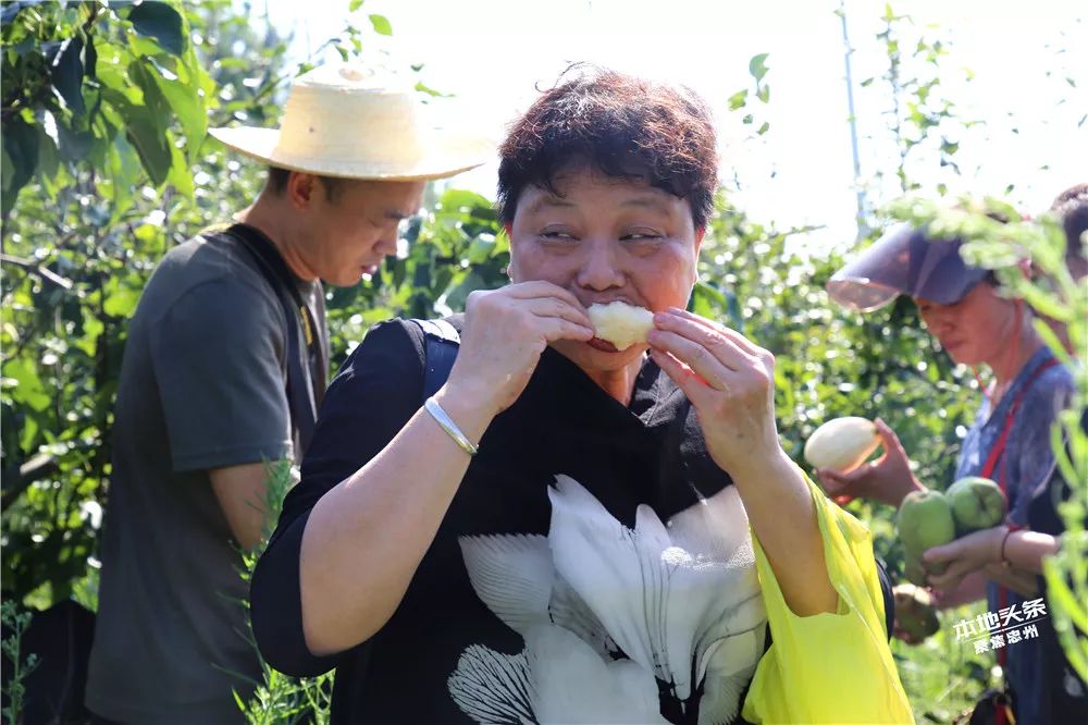 【网友e家亲】他来了,他来了!他捧着脆爽味甜的精华梨向你走来了