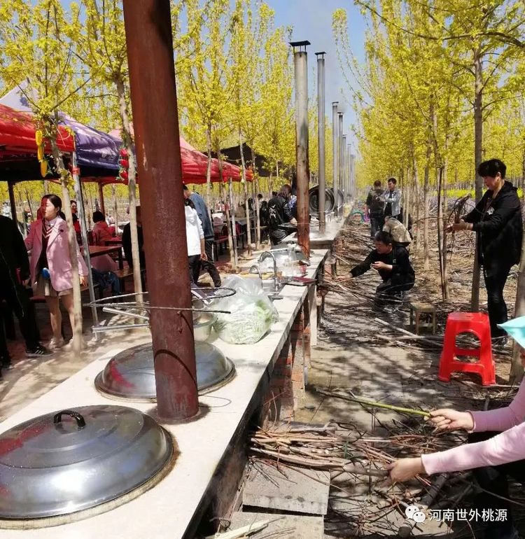 河南遂平世外桃源农场图片