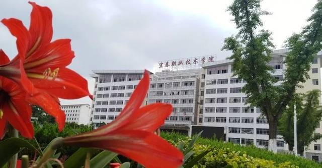 宜春职业技术学院 来自搜狐网