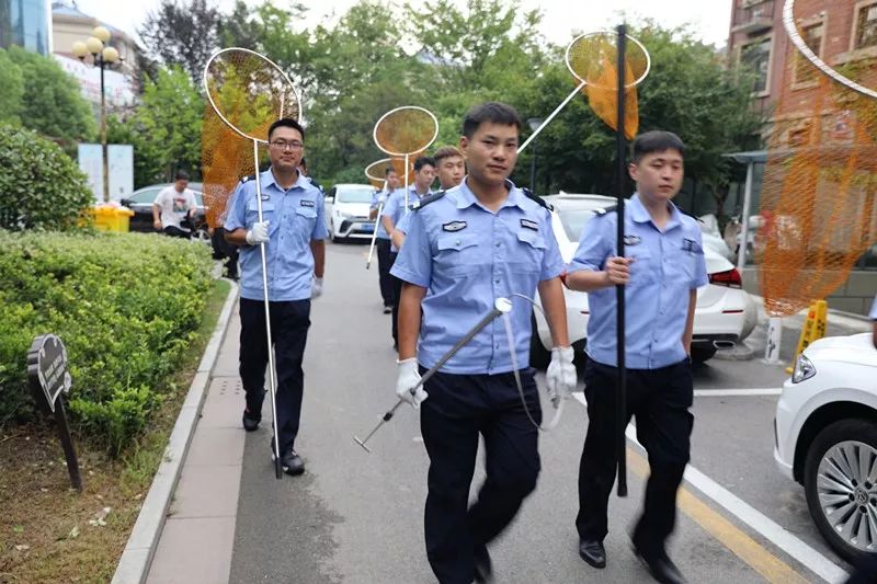 9日起,公安局将集中捕捉收容.