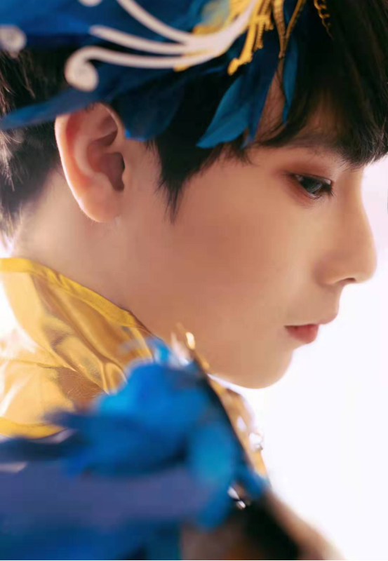 有什么样的主人就会有什么样的宠物gemini可爱猫咪也很傻萌