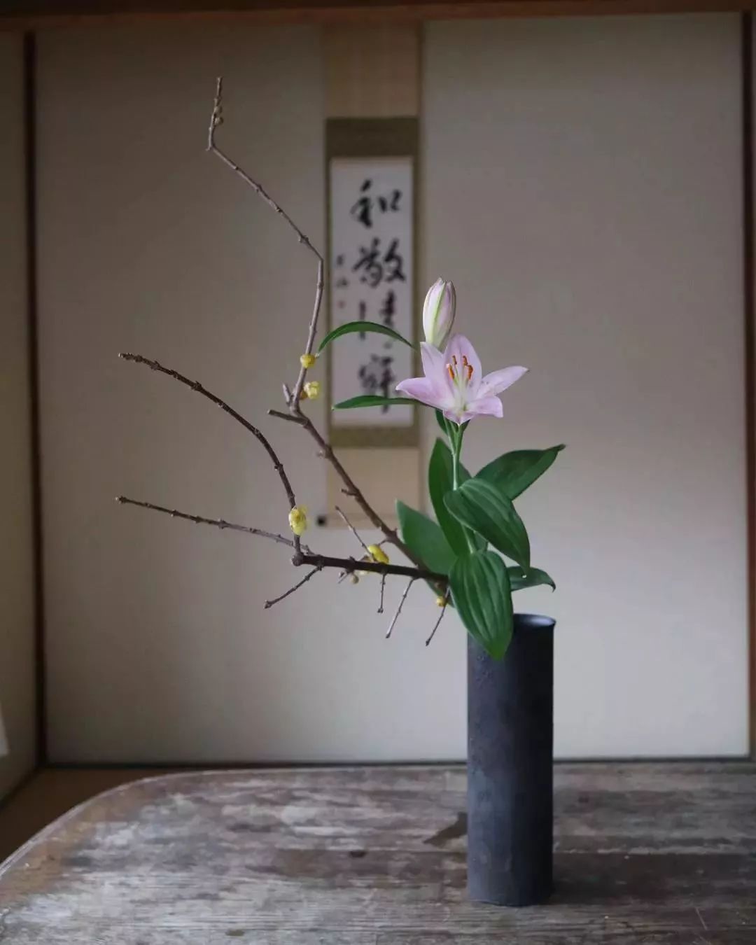 回来做自己走进蒋勋的生活美学后发现真正的美其实是自然东方艺术里面