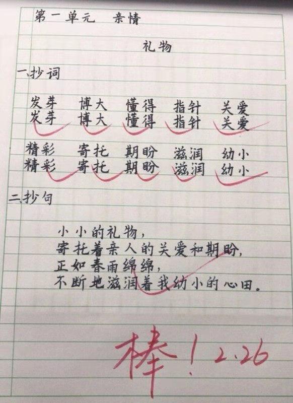 小学生作业太优秀字迹标准如印刷版老师就该这样写