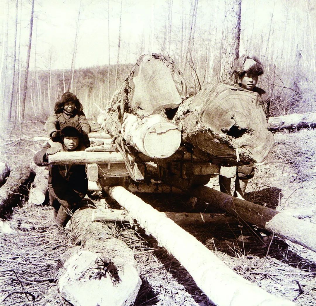 美丽中国相册中国森工记忆伐木工人