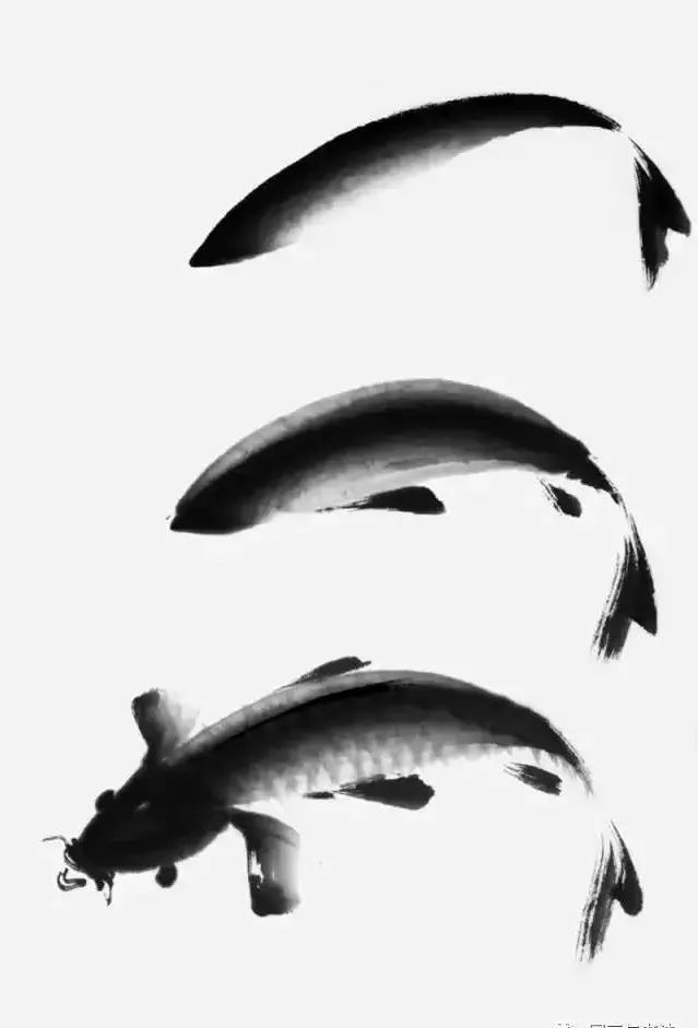 国画写意鲤鱼金鱼的画法一学就会