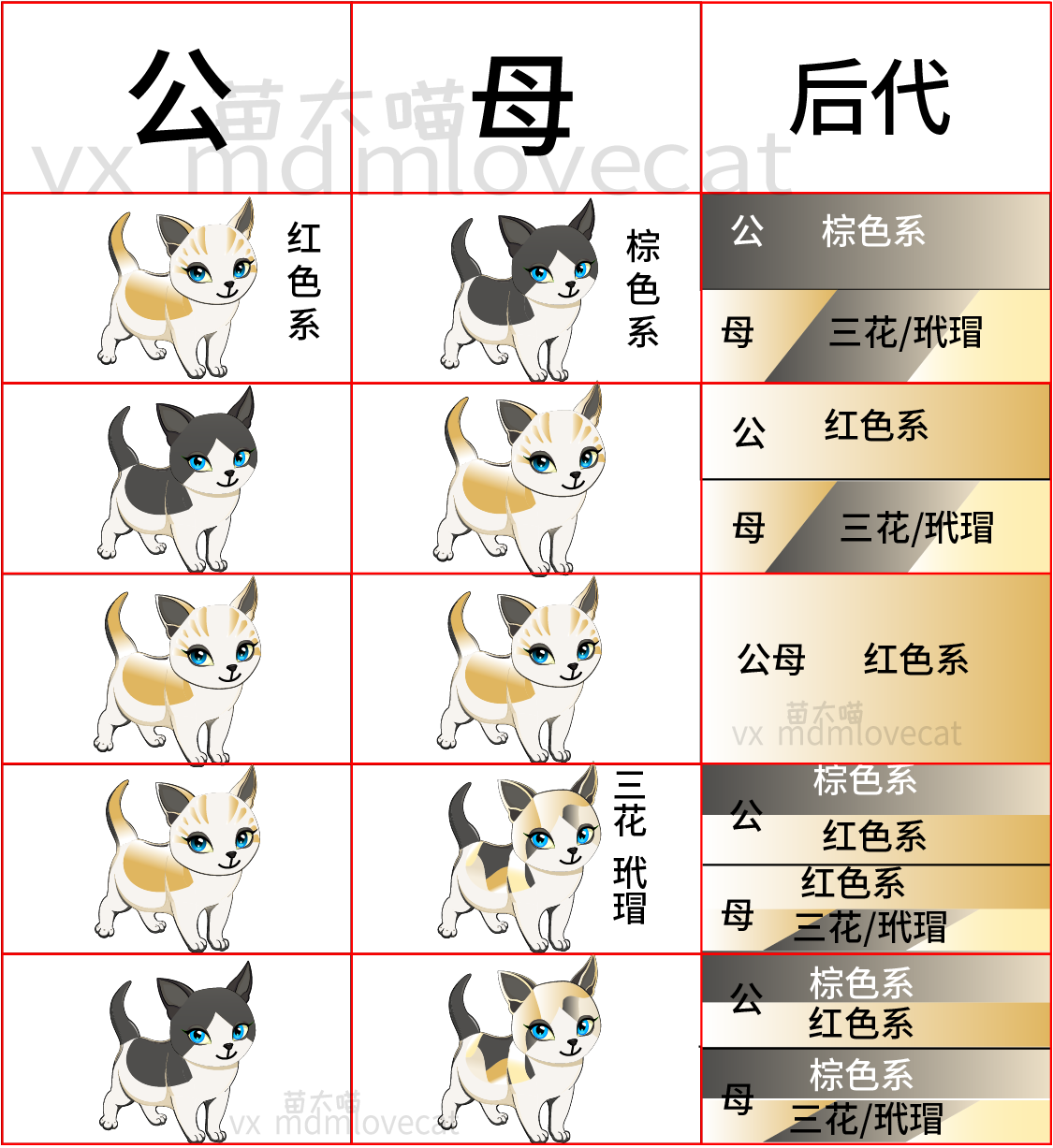 五分钟 布偶猫遗传知识全知道