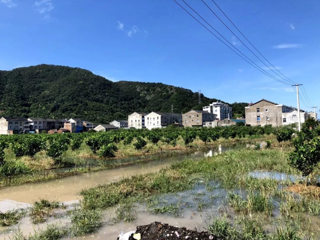 多棵,大部分路牌损毁,道路受淹情况严重,三分之一村庄受淹,土屿新街