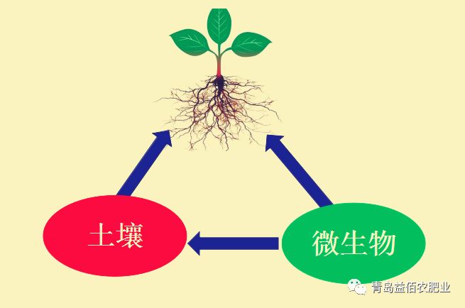 土壤,植物和肥料三者之间