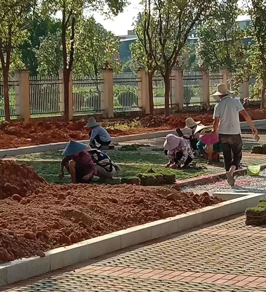 思源廣場做綠化地形,停車位植草磚植草