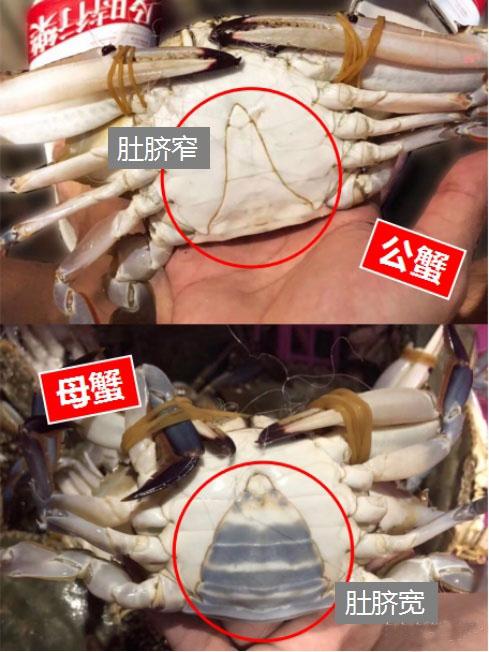学会这5招买螃蟹不翻车