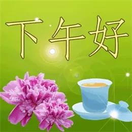 偷偷登录了我爸的微信竟发现他私藏了200这种表情