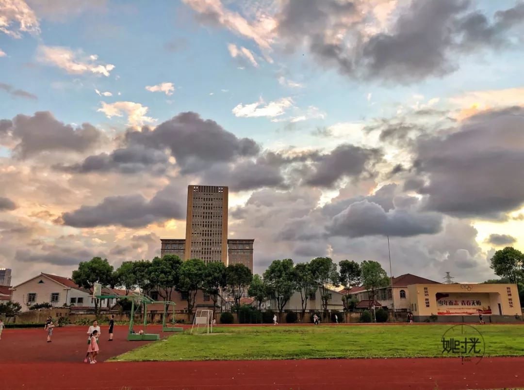 333435余姚气温迅速回升台风刚走这件事赶紧做