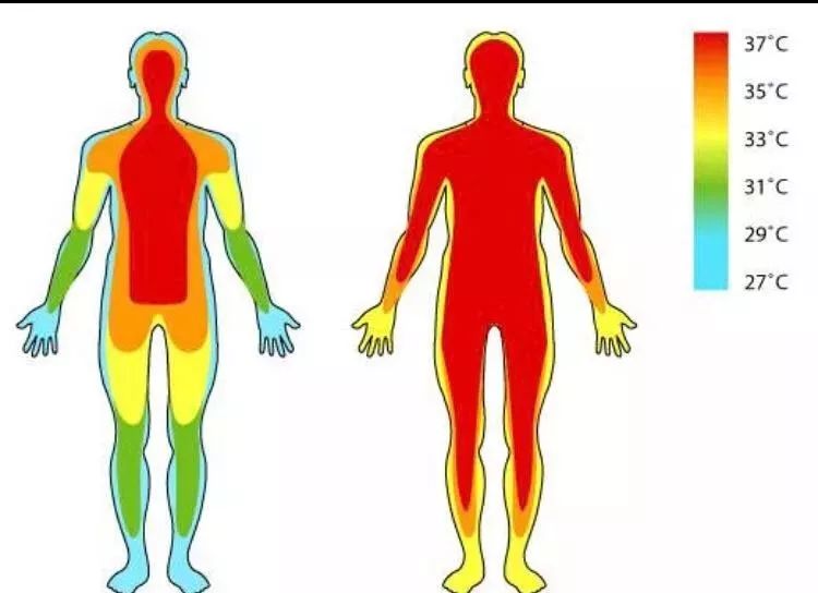 麻醉与围术期低体温